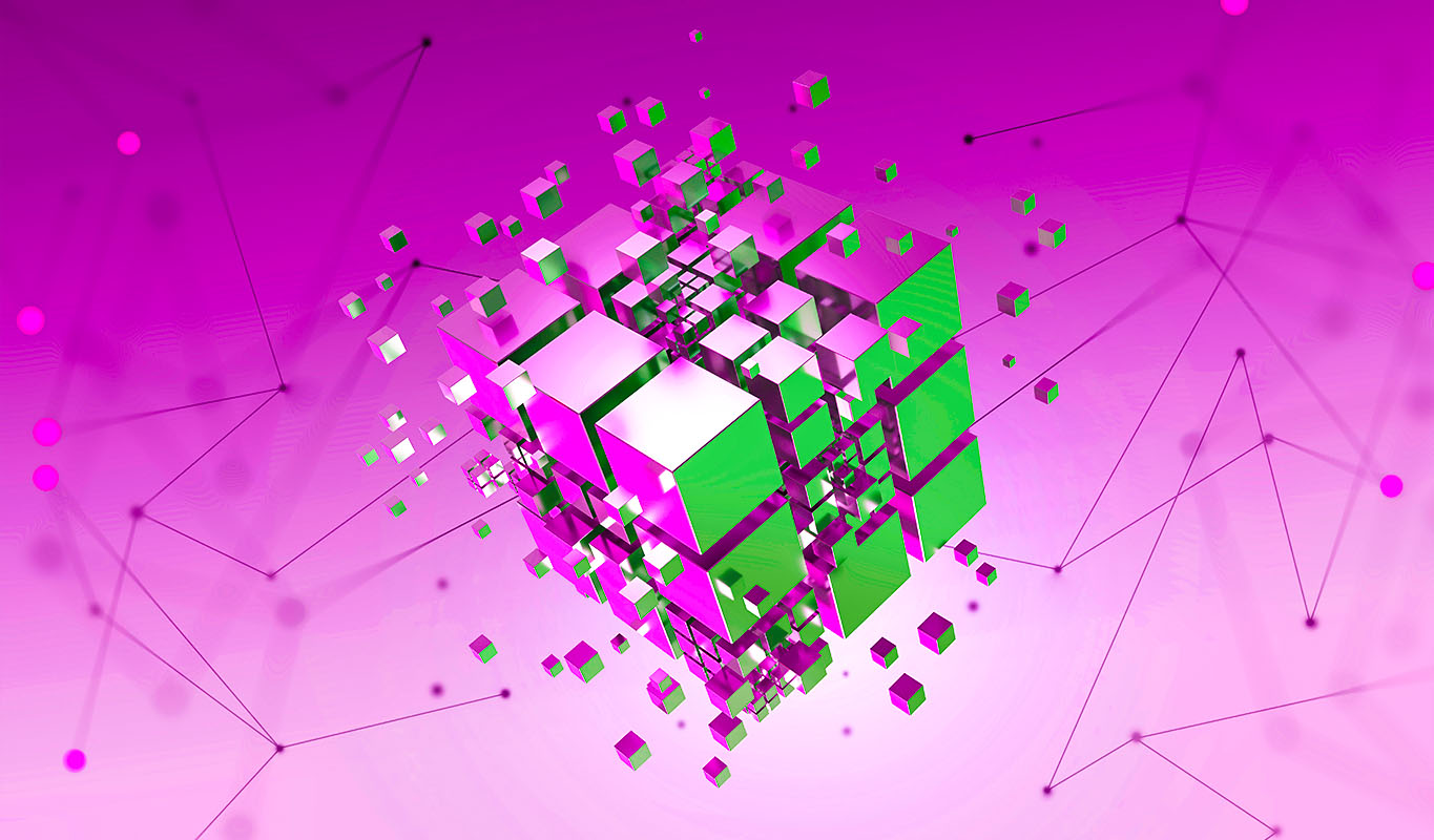 Picture of the author