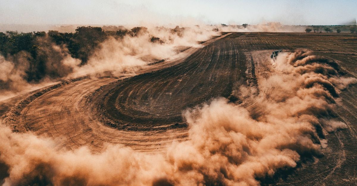 Picture of the author