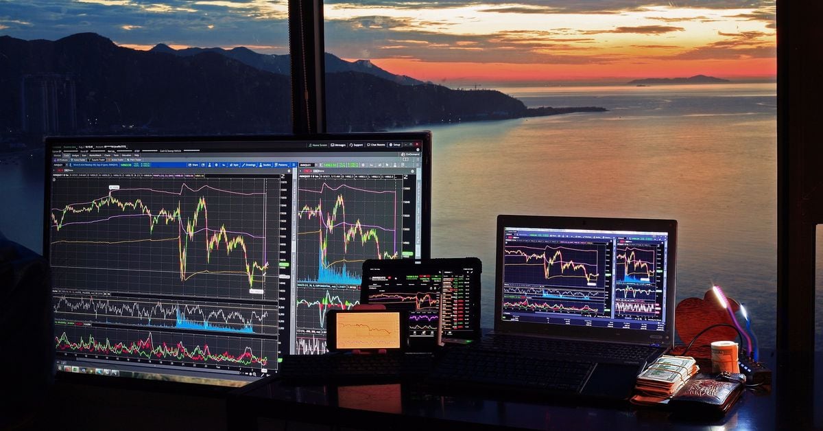 Picture of the author