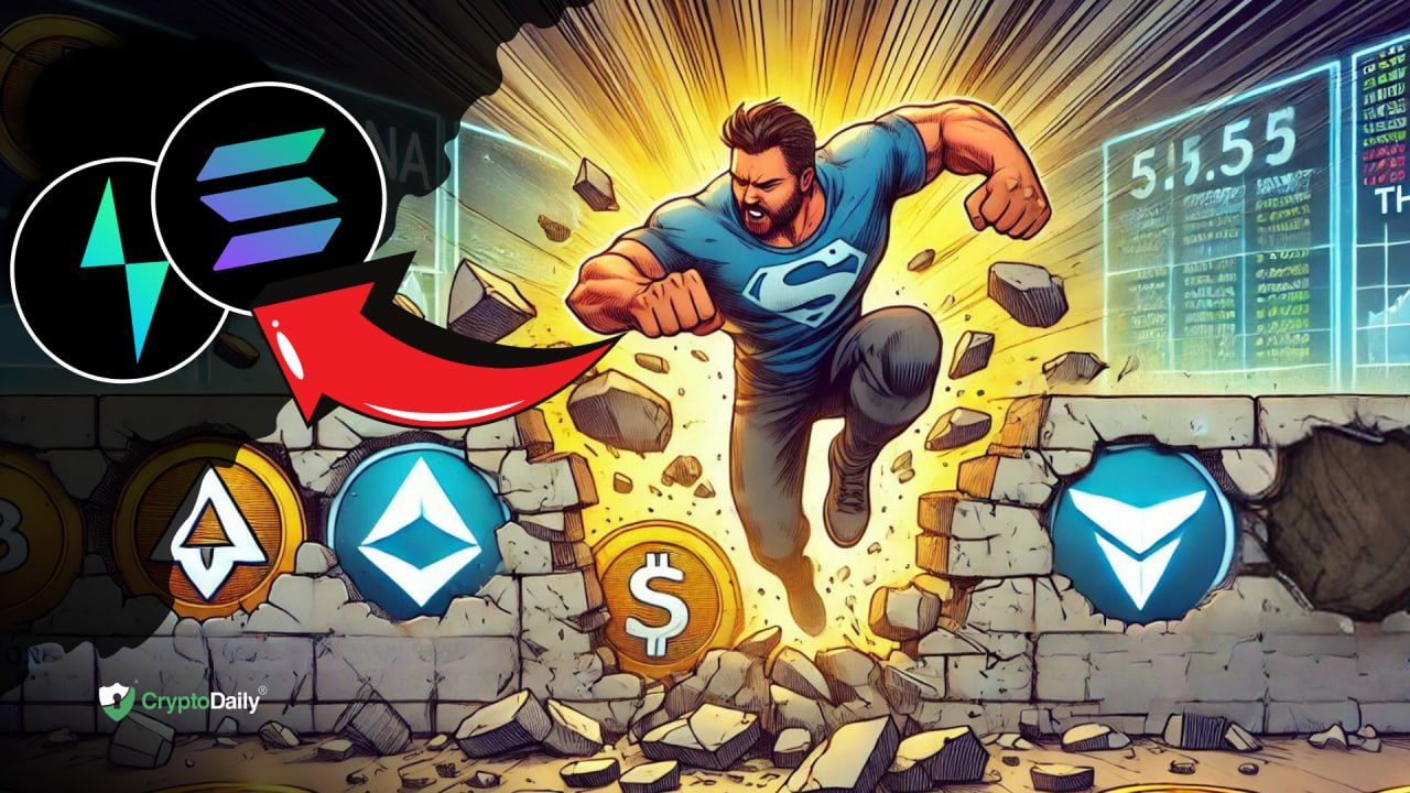 Picture of the author