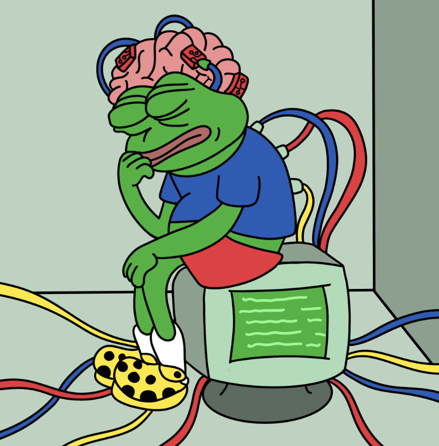 Picture of the author