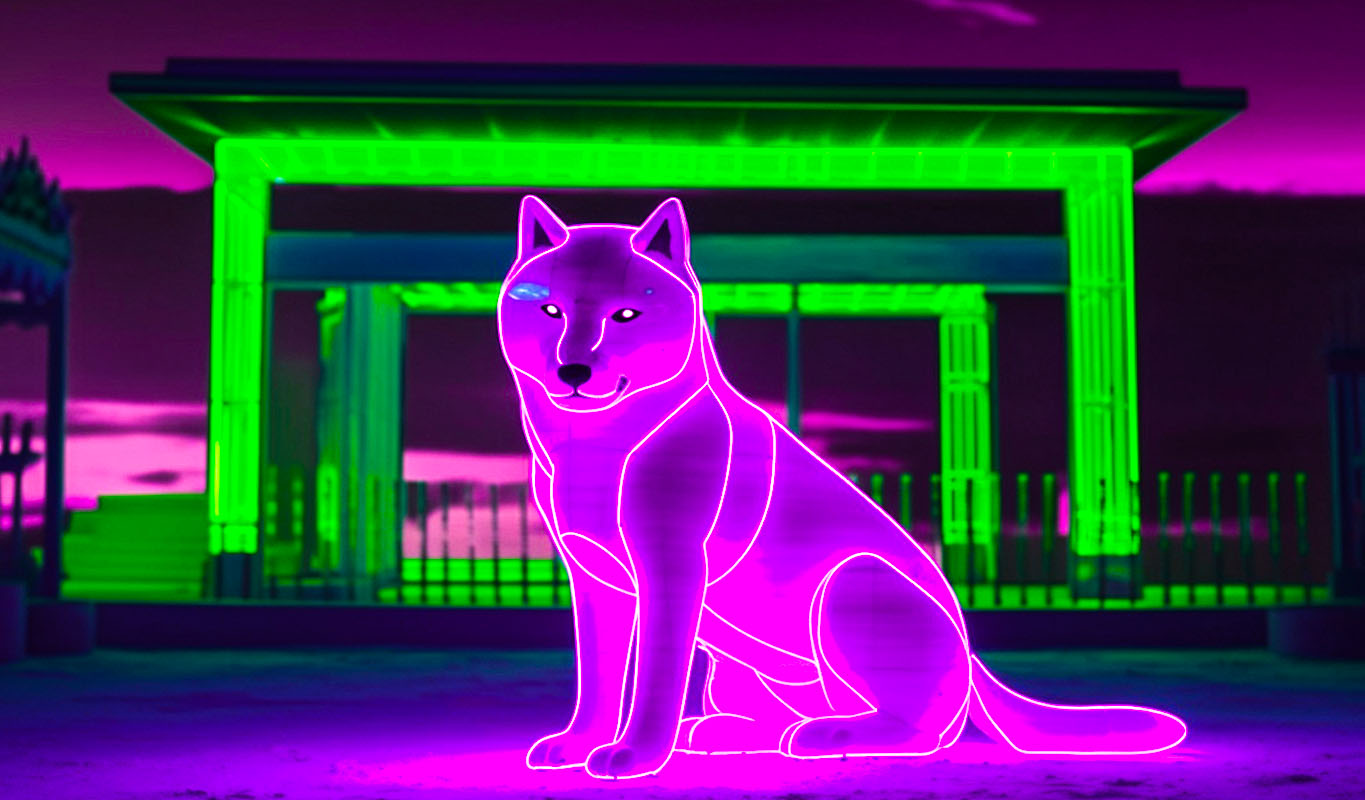 Picture of the author