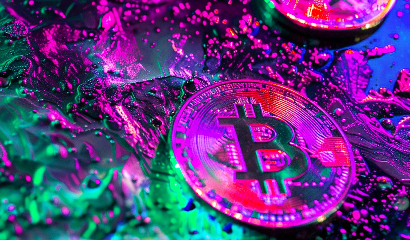 Picture of the author