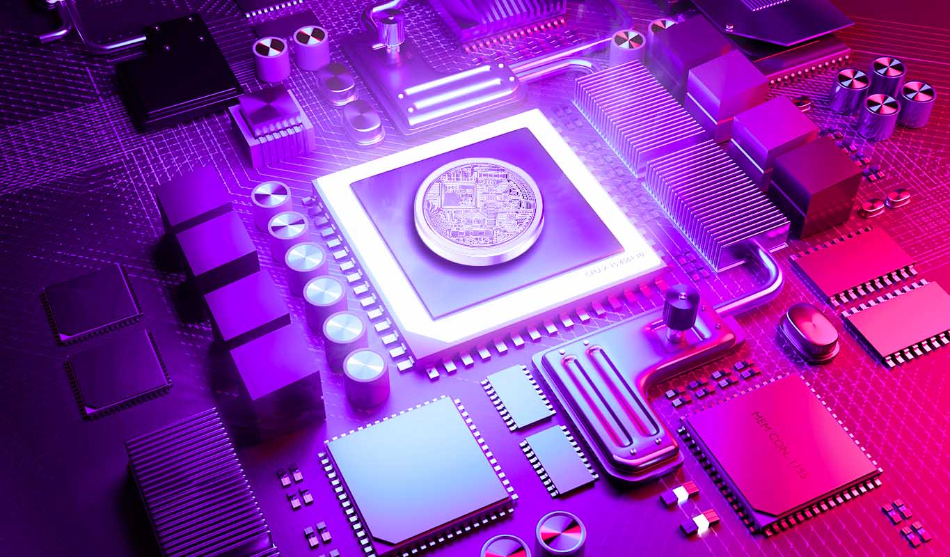 Picture of the author