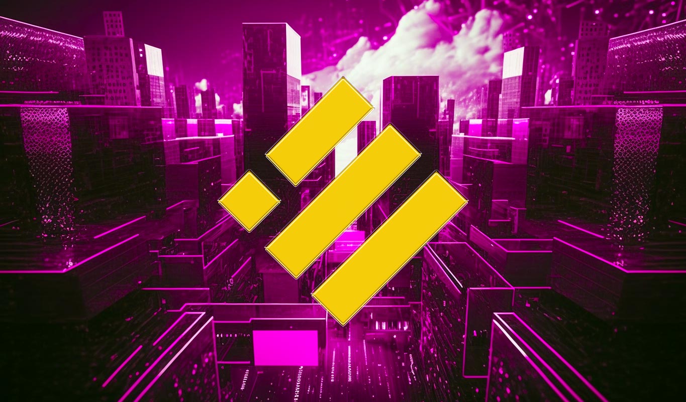 Picture of the author