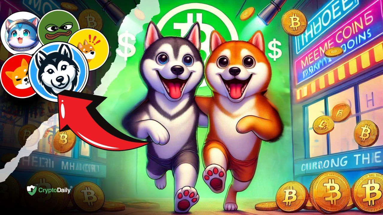 Picture of the author