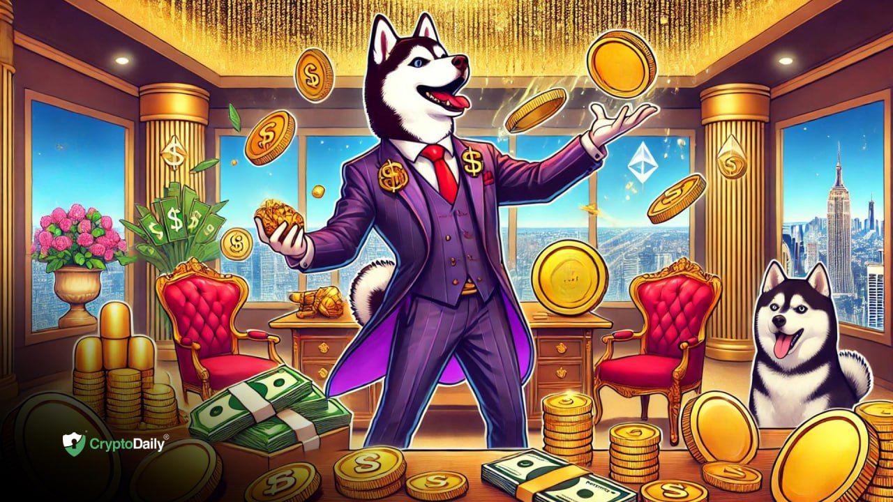 Picture of the author