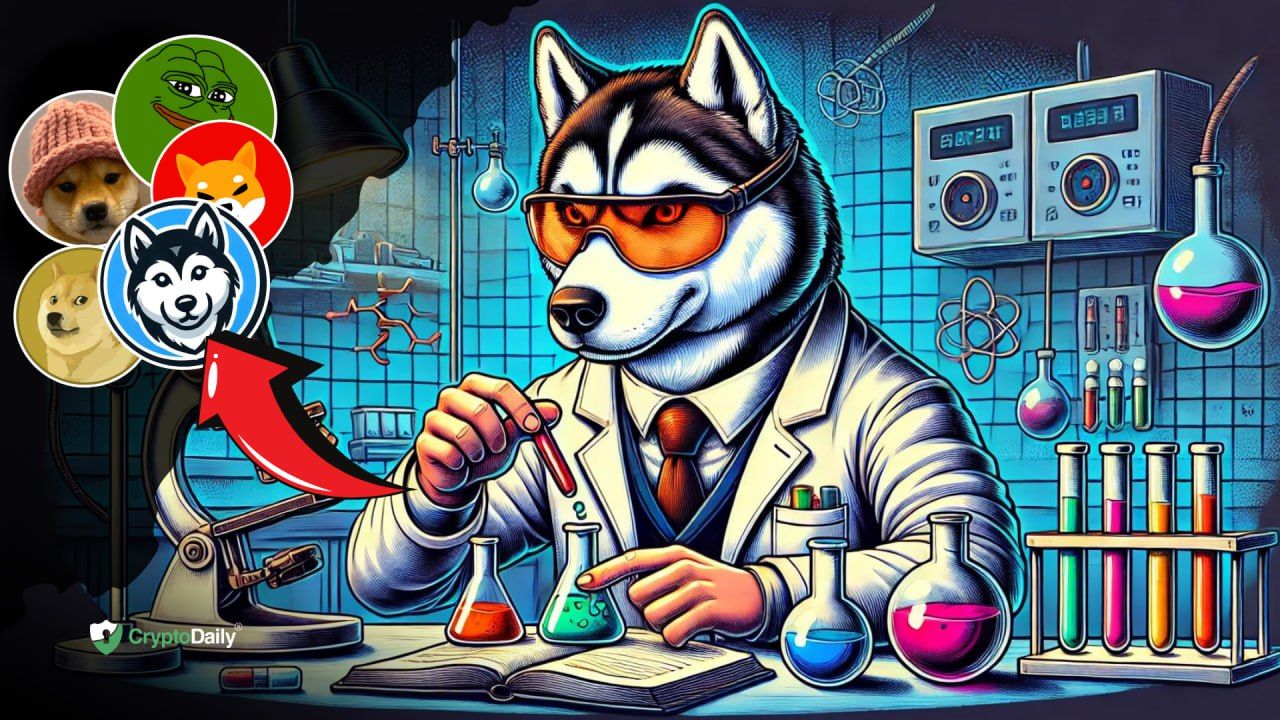 Picture of the author