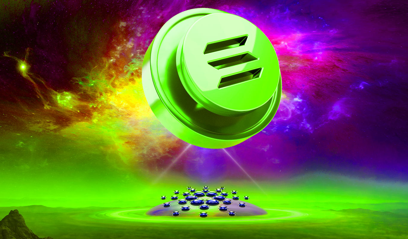 Picture of the author