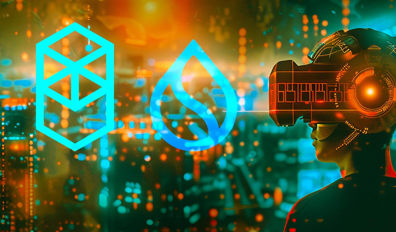 Picture of the author